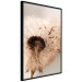 Wall Poster Summer Breeze - blooming dandelion in wind in sepia motif 123763 additionalThumb 10