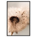 Wall Poster Summer Breeze - blooming dandelion in wind in sepia motif 123763 additionalThumb 24