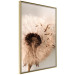 Wall Poster Summer Breeze - blooming dandelion in wind in sepia motif 123763 additionalThumb 14