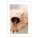 Wall Poster Summer Breeze - blooming dandelion in wind in sepia motif 123763 additionalThumb 19