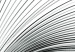 Wall Poster Curve of Time - abstract black lines forming waves on white background 123863 additionalThumb 8