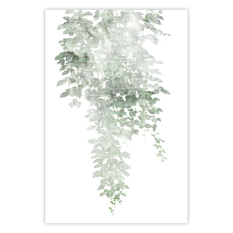 Wall Poster Cascade of Greenery - plant with leaves on a gently blurred texture 126863