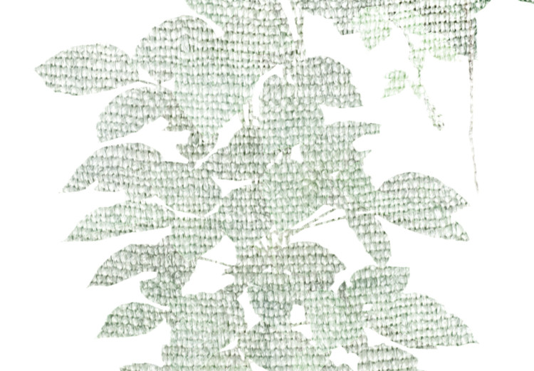 Wall Poster Cascade of Greenery - plant with leaves on a gently blurred texture 126863 additionalImage 9