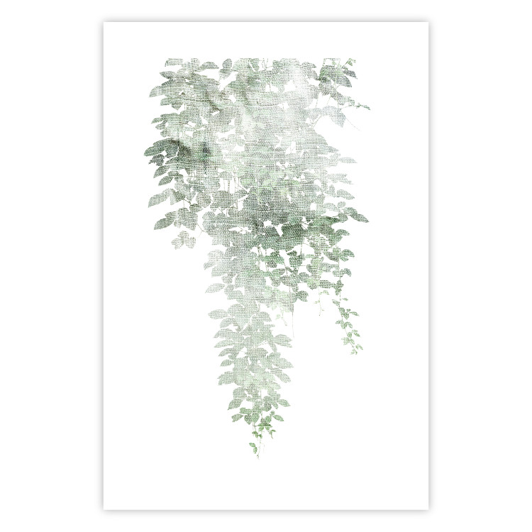 Wall Poster Cascade of Greenery - plant with leaves on a gently blurred texture 126863 additionalImage 19