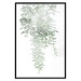 Wall Poster Cascade of Greenery - plant with leaves on a gently blurred texture 126863 additionalThumb 15
