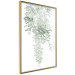 Wall Poster Cascade of Greenery - plant with leaves on a gently blurred texture 126863 additionalThumb 12
