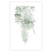 Wall Poster Cascade of Greenery - plant with leaves on a gently blurred texture 126863 additionalThumb 19