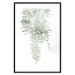 Wall Poster Cascade of Greenery - plant with leaves on a gently blurred texture 126863 additionalThumb 16