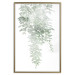 Wall Poster Cascade of Greenery - plant with leaves on a gently blurred texture 126863 additionalThumb 17