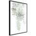 Wall Poster Cascade of Greenery - plant with leaves on a gently blurred texture 126863 additionalThumb 11