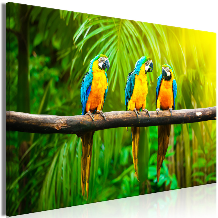 Canvas Parrot Trio (1-part) wide - exotic animals in the jungle 129163 additionalImage 2