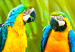 Canvas Parrot Trio (1-part) wide - exotic animals in the jungle 129163 additionalThumb 4