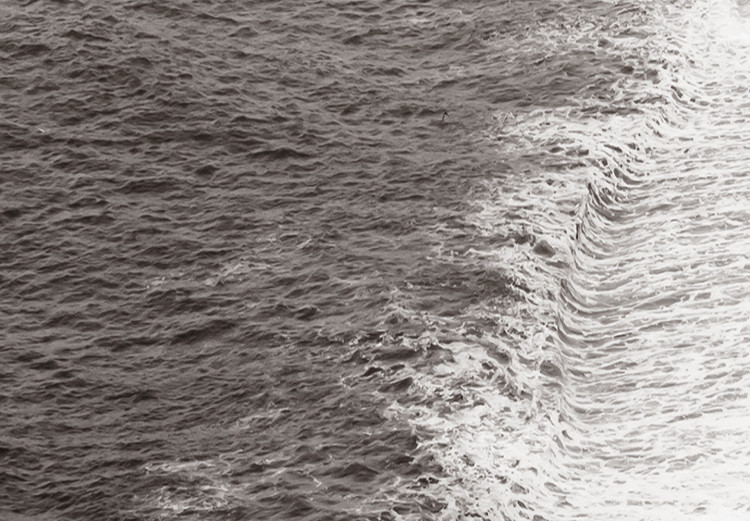 Poster Balance of Opposites - monochromatic seascape with beach 130263 additionalImage 9