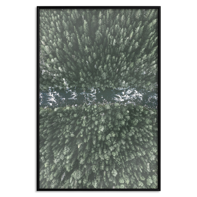 Poster Forest River - a natural landscape of forest and river depicted from a bird's-eye view 130763 additionalImage 16