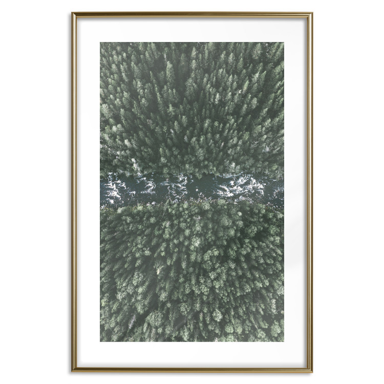Poster Forest River - a natural landscape of forest and river depicted from a bird's-eye view 130763 additionalImage 14