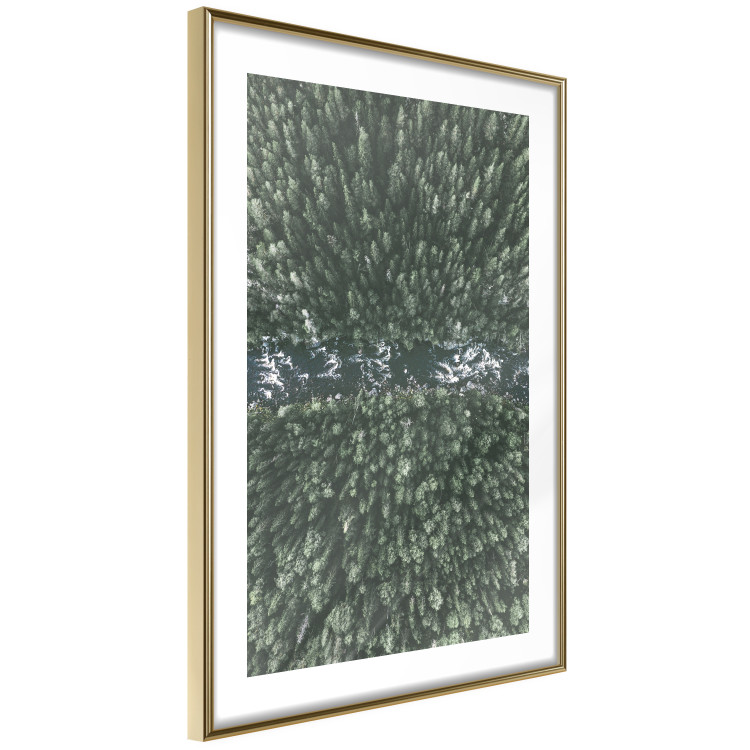 Poster Forest River - a natural landscape of forest and river depicted from a bird's-eye view 130763 additionalImage 4