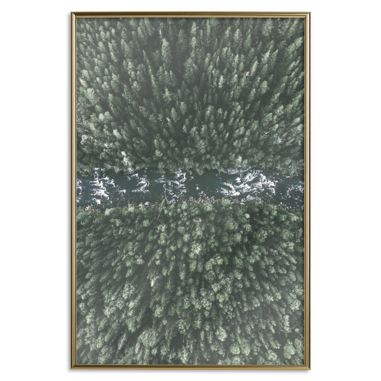 Poster Forest River - a natural landscape of forest and river depicted from a bird's-eye view 130763 additionalImage 17