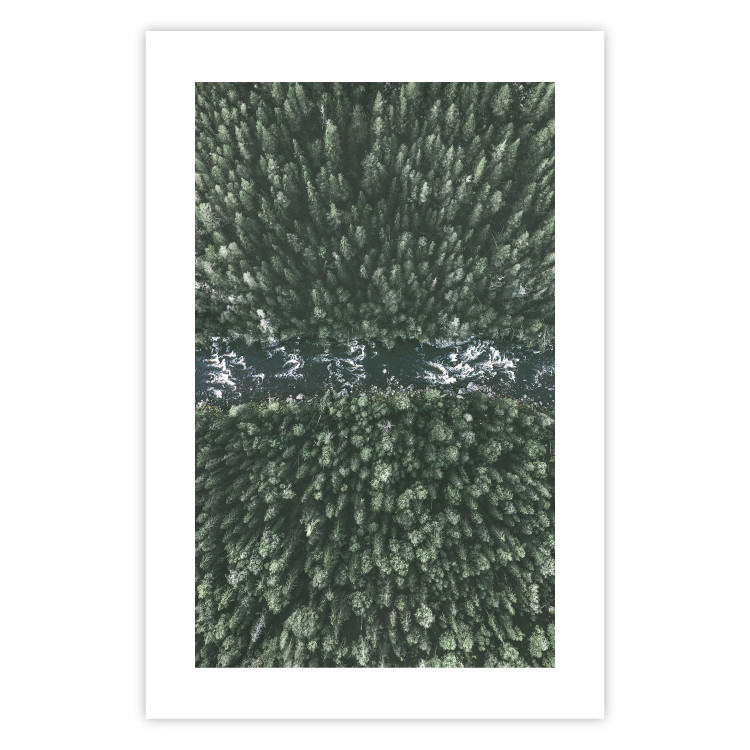 Poster Forest River - a natural landscape of forest and river depicted from a bird's-eye view 130763 additionalImage 19