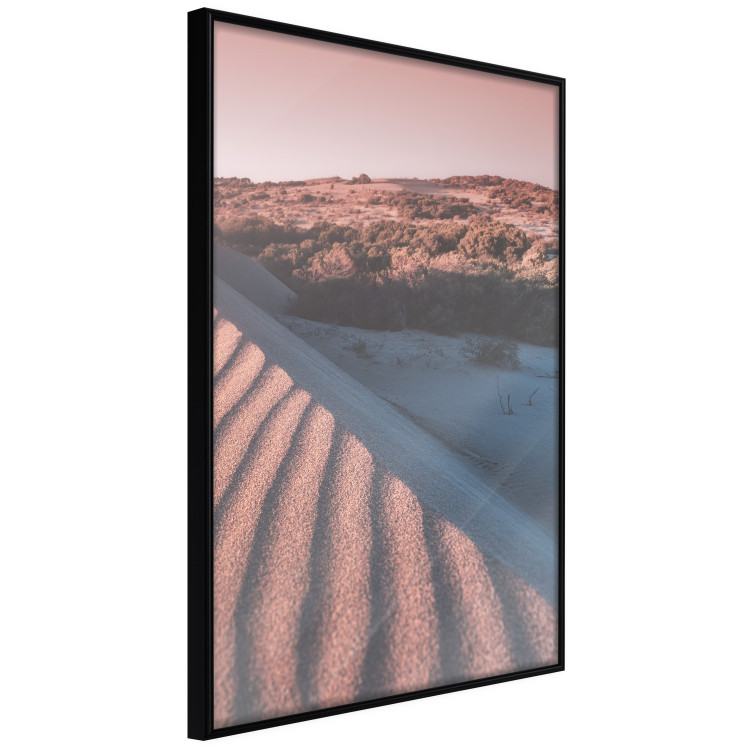 Wall Poster Pink Sands - desert landscape and plants in an orange composition 134763 additionalImage 13