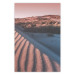 Wall Poster Pink Sands - desert landscape and plants in an orange composition 134763