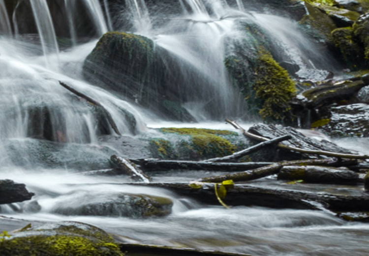 Large canvas print Awesome Waterfall - Green II [Large Format] 136363 additionalImage 6