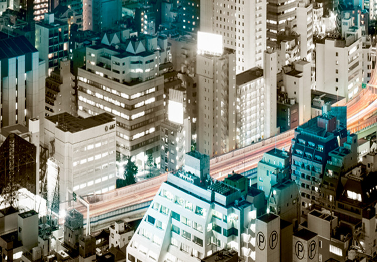 Large canvas print Tokyo Panorama II [Large Format] 137663 additionalImage 4
