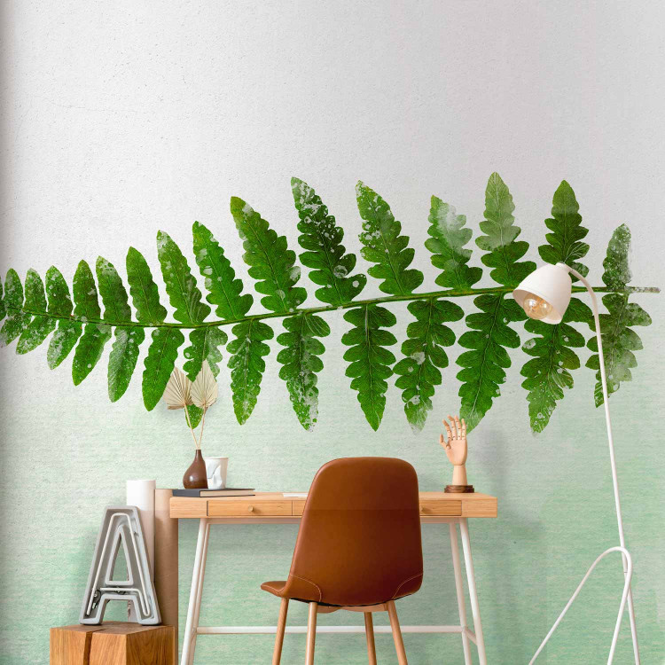Photo Wallpaper Nature of ferns - minimalist style landscape with green foliage 143163 additionalImage 4