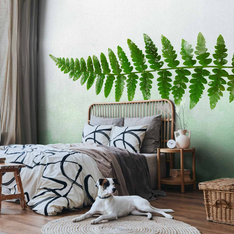 Photo Wallpaper Nature of ferns - minimalist style landscape with green foliage 143163 additionalImage 2