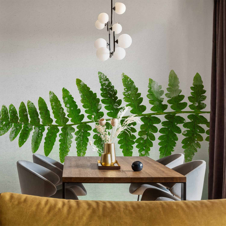 Photo Wallpaper Nature of ferns - minimalist style landscape with green foliage 143163 additionalImage 6