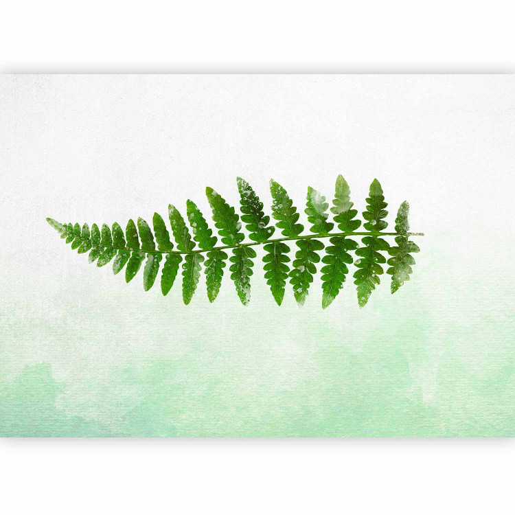 Photo Wallpaper Nature of ferns - minimalist style landscape with green foliage 143163 additionalImage 1