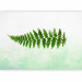 Photo Wallpaper Nature of ferns - minimalist style landscape with green foliage 143163 additionalThumb 1