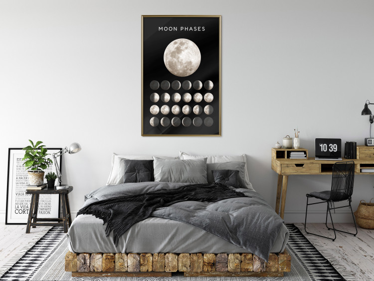 Wall Poster Moon Phases [Poster]  143363 additionalImage 13