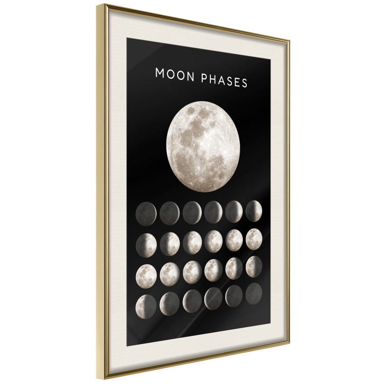 Wall Poster Moon Phases [Poster]  143363 additionalImage 9