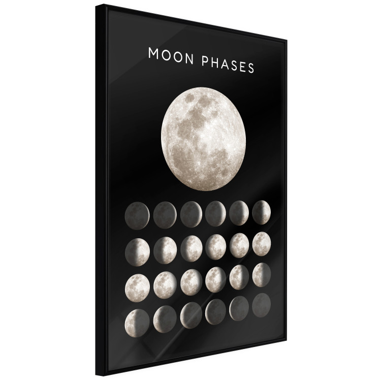 Wall Poster Moon Phases [Poster]  143363 additionalImage 2