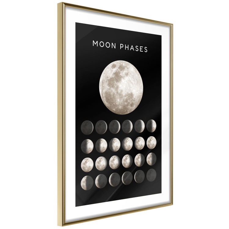 Wall Poster Moon Phases [Poster]  143363 additionalImage 11