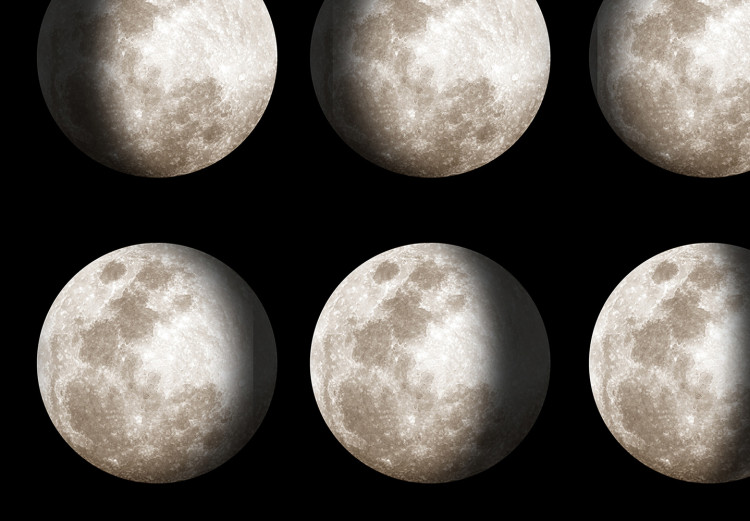Wall Poster Moon Phases [Poster]  143363 additionalImage 7