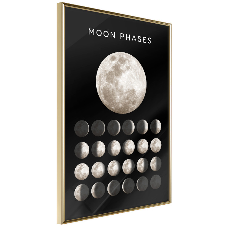 Wall Poster Moon Phases [Poster]  143363 additionalImage 3