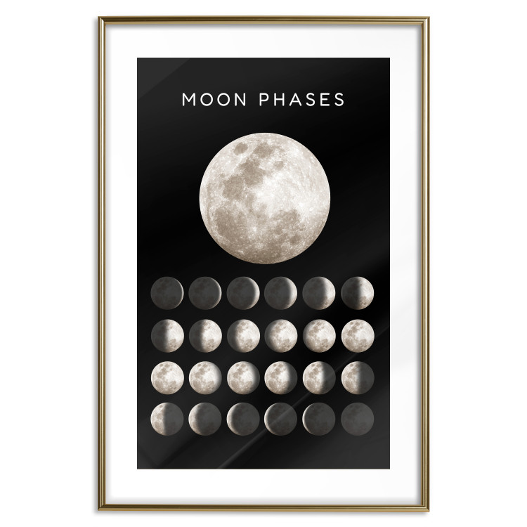 Wall Poster Moon Phases [Poster]  143363 additionalImage 21