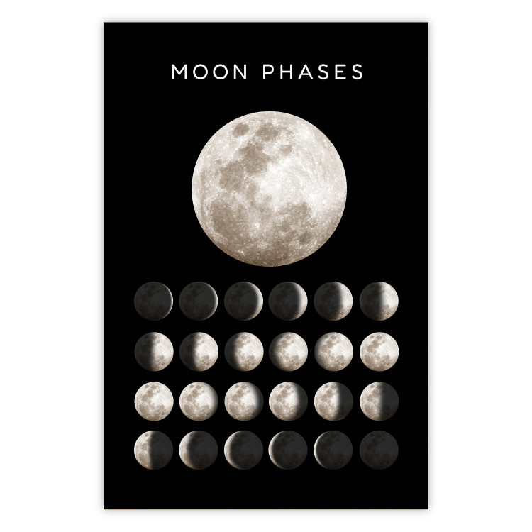 Wall Poster Moon Phases [Poster]  143363