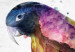 Canvas Art Print Rainbow Bird (1-piece) - colorful macaw parrot painted with watercolors 145163 additionalThumb 4