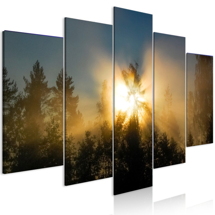 Canvas Sunset Among Trees (5-piece) - forest against the backdrop of the night sky 149263 additionalImage 2