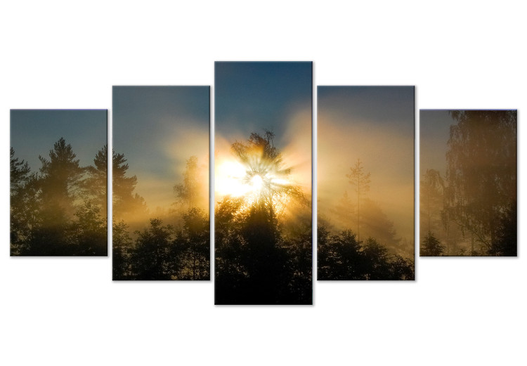 Canvas Sunset Among Trees (5-piece) - forest against the backdrop of the night sky 149263