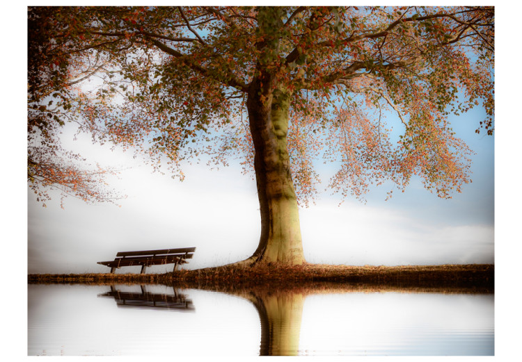 Wall Mural Tree by the Lake - Landscape with a Lonely Bench under a Blue Sky 60263 additionalImage 1