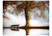 Wall Mural Tree by the Lake - Landscape with a Lonely Bench under a Blue Sky 60263 additionalThumb 1