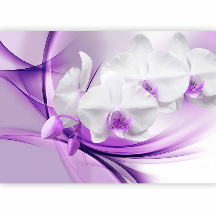 Wall Mural Flowers of Nature - White orchid flower on a background with a purple pattern 61863 additionalImage 5