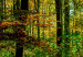 Canvas Art Print Wild Forest 88663 additionalThumb 4