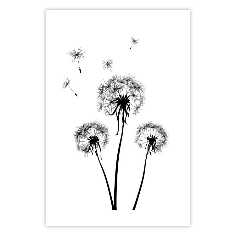 Wall Poster Flying dandelions - black and white composition with three flowers in the wind 115073 additionalImage 19