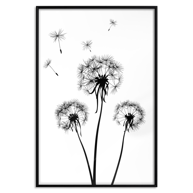 Wall Poster Flying dandelions - black and white composition with three flowers in the wind 115073 additionalImage 18