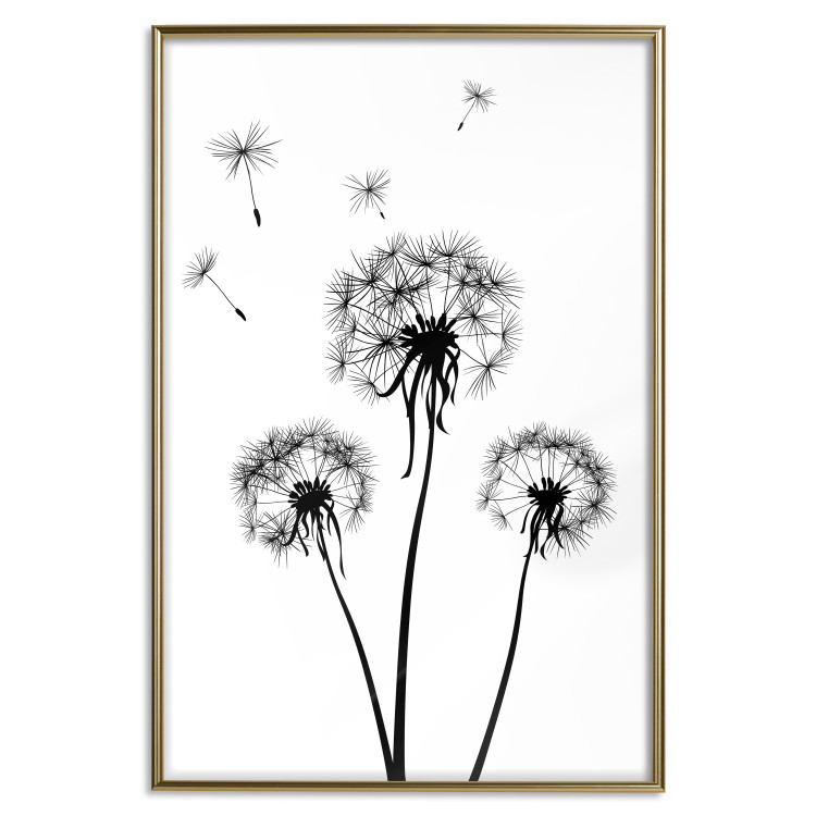 Wall Poster Flying dandelions - black and white composition with three flowers in the wind 115073 additionalImage 16