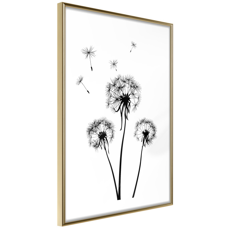 Wall Poster Flying dandelions - black and white composition with three flowers in the wind 115073 additionalImage 5